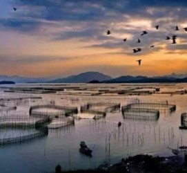 固安伴游中国网景点丰富(旅游网介绍)