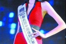固安吴宜桦(陈嘉桦吴慷仁)