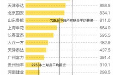 固安关于伴游小丽中国足球的信息