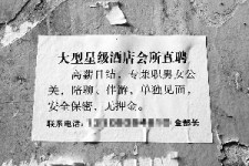 固安珠海伴游雇用网(珠海游览社雇用信息)
