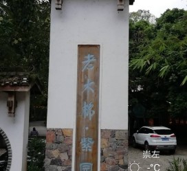 固安关于伴游中国伴游你们伴得是什么游的信息