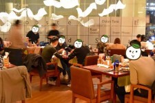 固安上海私人伴游 导游商务模特经纪,商务私人导游招聘