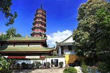 固安广州自由行(广州 自由行)