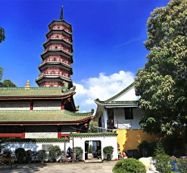 固安广州自由行(广州 自由行)