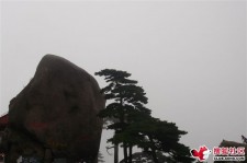 固安上海伴游私家陪游雇用女模(上海伴游私家陪游雇用女模特)