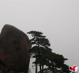 固安上海伴游私家陪游雇用女模(上海伴游私家陪游雇用女模特)