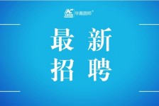 固安镇江伴游雇用驾驶员(镇江驾驶员雇用苍生网)
