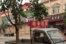 固安上海伴游 用伴游造句大全(5