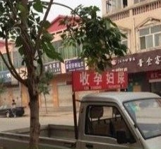 固安上海伴游 用伴游造句大全(5