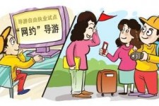 固安伴游是什么
