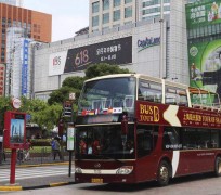 固安上海私人伴游 上海过年怎么玩？这些“微游”线路了解下→