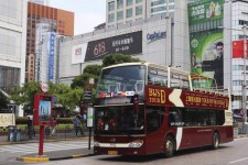 固安上海私人伴游 上海过年怎么玩？这些“微游”线路了解下→