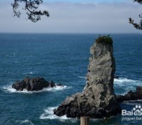 固安旅游全攻略(上海旅游全攻略)