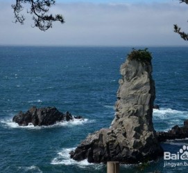 固安旅游全攻略(上海旅游全攻略)