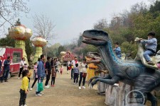 固安中国伴游带你打卡网红南山竹海(南山竹海网上预约)