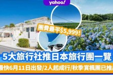 固安旅游价格(旅游价格机制)