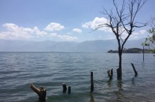 固安洱海旅游攻略(洱海旅游攻略自由行)