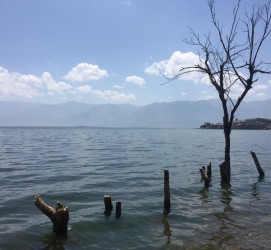 固安洱海旅游攻略(洱海旅游攻略自由行)