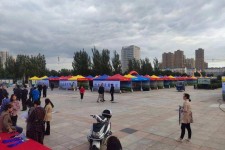 固安通辽伴游雇用(哈尔滨伴游雇用)
