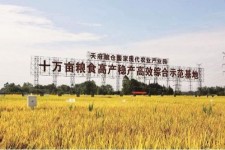 固安关于成都商务伴游外围雇用的信息