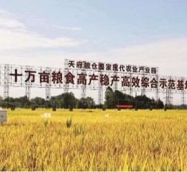 固安关于成都商务伴游外围雇用的信息