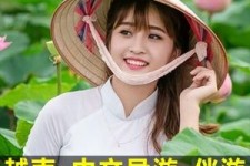 固安日本关东伴游中国(日本关西旅行)