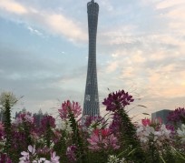 固安广州旅游攻略(杭州到广州旅游攻略)