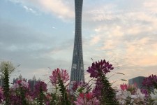 固安广州旅游攻略(杭州到广州旅游攻略)