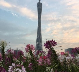 固安广州旅游攻略(杭州到广州旅游攻略)