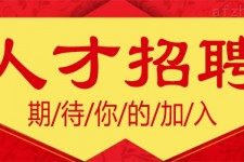 固安上海伴游招聘 招聘 | 浦东机场专柜销售