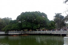 固安福州旅游攻略(福州旅游攻略二日游)
