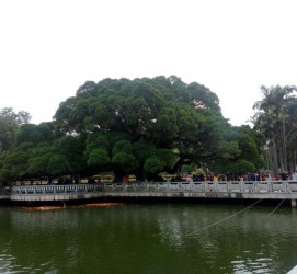固安福州旅游攻略(福州旅游攻略二日游)