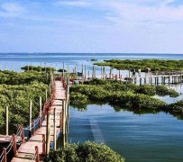 固安旅游哪里好玩(云南旅游哪里好玩)