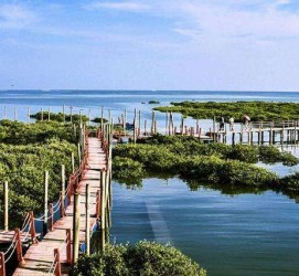 固安旅游哪里好玩(云南旅游哪里好玩)