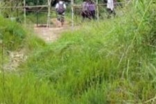 固安苍溪学生做伴游兼职(苍溪学生做伴游兼职怎么样)