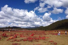固安旅游去处(暑期最好的旅游去处)