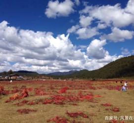 固安旅游去处(暑期最好的旅游去处)