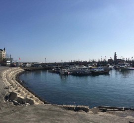 固安大连旅游攻略(大连旅游攻略自由行)