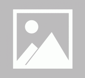 固安私人伴游 黄金周里动“黄”经 天津又现“私人陪游”逆流