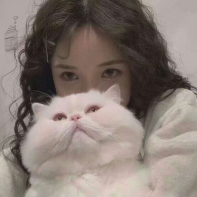 固安伴游女生韩婉婷的资料